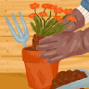 Meet your Posher, Sylvia